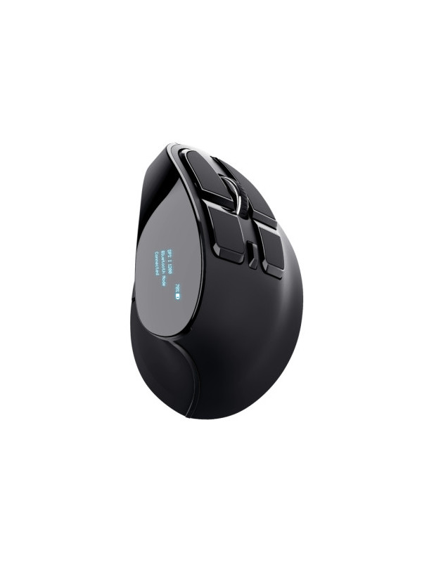 TRUST Voxx Rechargeable Ergonomic Wireless Mouse