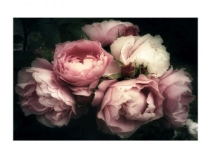 Tablou Flowers I 120*80