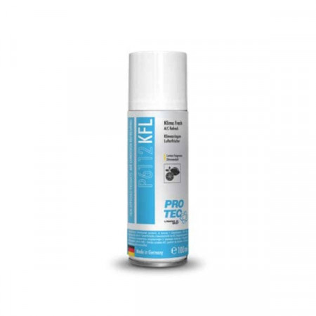SPRAY PROTEC Igienizant pentru instalatia de aer conditionat si clima a masinii