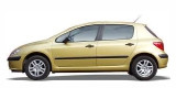 Navigatie Peugeot 307 (2000-2013)