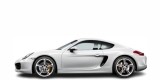 Navigatie Porsche Cayman (2012-2016)