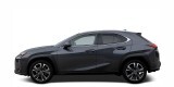 Navigatie Lexus UX (dupa 2018)