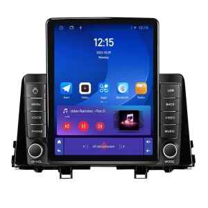 Navigatie dedicata cu Android Kia Picanto dupa 2017, 2GB RAM, Radio GPS Dual Zone, Touchscreen IPS 9.7" HD tip Tesla, Internet Wi-Fi, Bluetooth, MirrorLink, USB 100490313