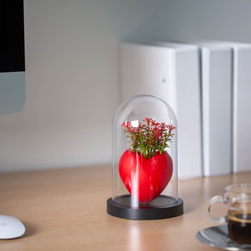 Planta Artificiala in Ghiveci Shopiens – Decoratiune in Forma de Inima cu Cupola, 11 x 18 cm