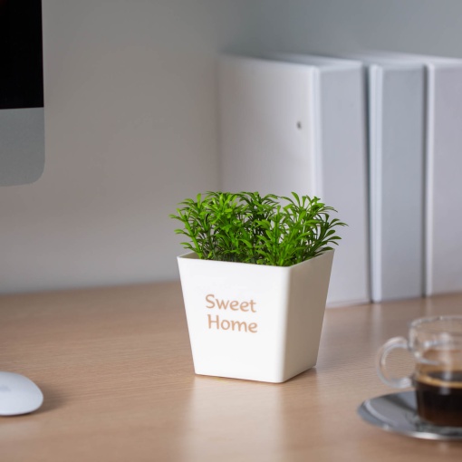 Planta Artificiala in Ghiveci de Plastic Shopiens – Cu Mesaj Sweet Home, 10 x 16 cm