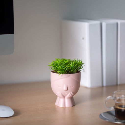 Planta Artificiala in Ghiveci de Plastic Shopiens – Forma Cap de Om, 9 x 14 cm