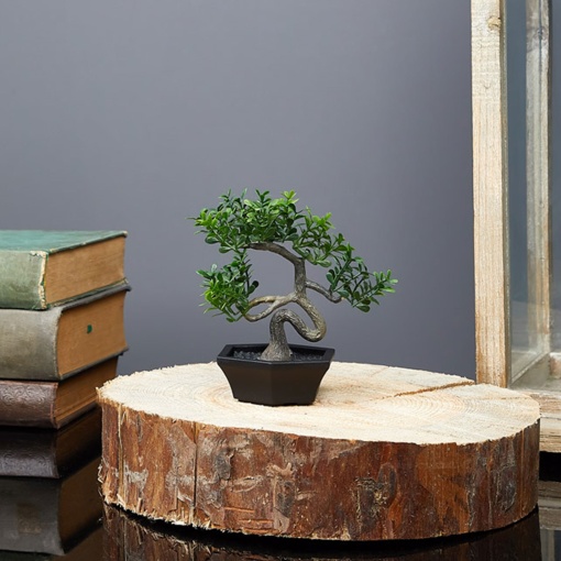 Planta Artificiala in Ghiveci Shopiens – Bonsai Realist, 10 x 13 cm