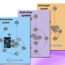 PXD ANTIMIKROBNI SISTEM