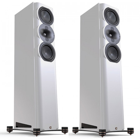Diffusori da Pavimento 3 Vie Hi-Fi & Home Theatre Perlisten R5t