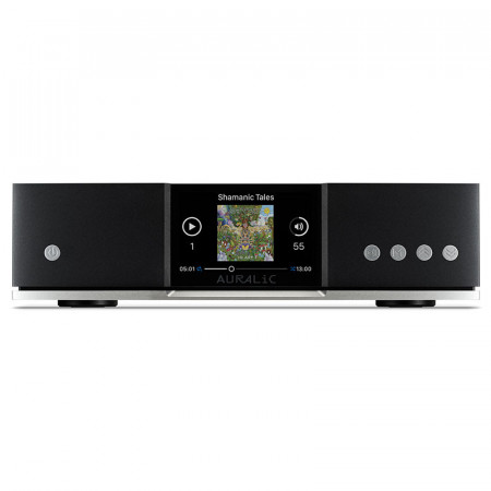 Streamer di Rete Hi-Fi Auralic Aries G1.1