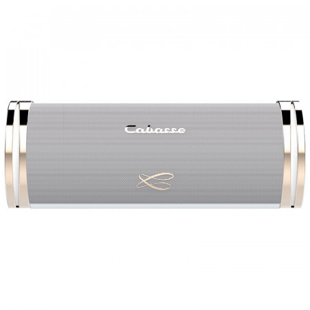 Diffusore Hi-Fi Bluetooth Portatile Cabasse Swell