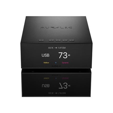 Streamer di Rete con DAC Auralic Vega S1 - Img 4