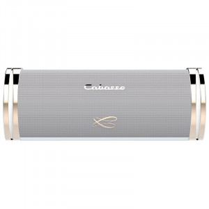 Diffusore Hi-Fi Bluetooth Portatile Cabasse Swell