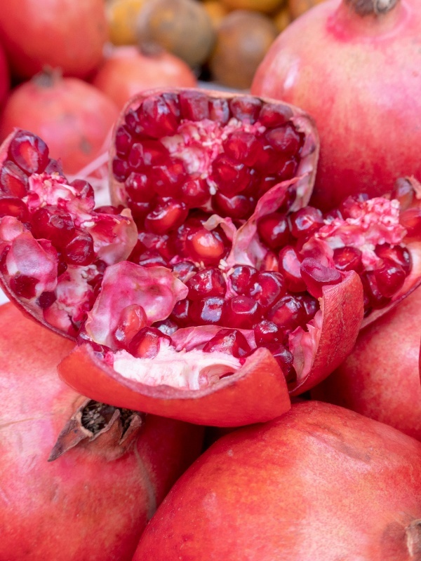 Rodie (Punica granatum)