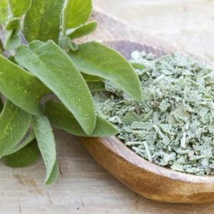 Salvie (Salvia officinalis) - Img 2