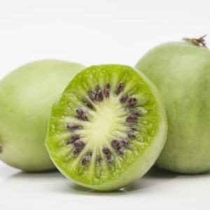 Kiwi Issai (Actinidia arguta Issai) - Img 2
