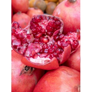 Rodie (Punica granatum) - Img 1