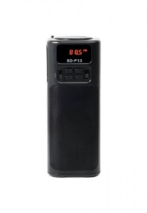 BOXA PORTABILA SOLARA ROTOSONIC SD P13 BT, FM, BLUETHOOT SD, USB - Img 1
