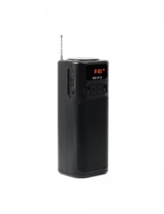 BOXA PORTABILA SOLARA ROTOSONIC SD P13 BT, FM, BLUETHOOT SD, USB - Img 3