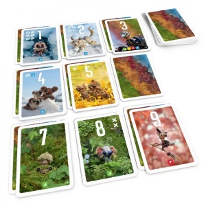 Pixies board game - componente, producator Bombyx
