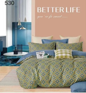 SET LENJERIE EAST COMFORT PENTRU PAT DUBLU FINET GROS EST392 - Img 2