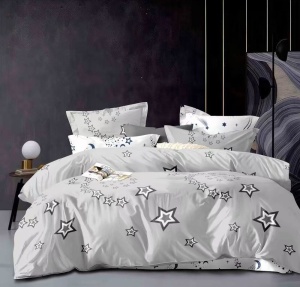 SET LENJERIE EAST COMFORT PENTRU PAT DUBLU FINET GROS EST279 - Img 2