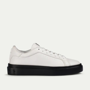 Paciotti Men's Shoes