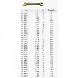   Cheie fixa dubla antiex - 001 - Metalminotti detalii