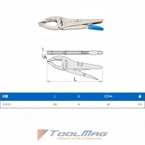 Cleste menghina - 434/3C - Unior desen