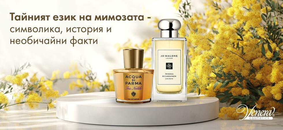 Тайният език на мимозата – символика, история и необичайни факти