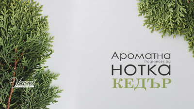 Ароматна нотка кедър - една хилядолетна история