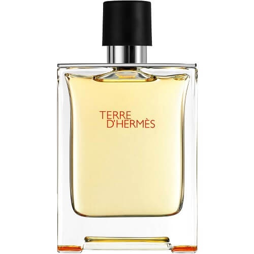 Hermes Terre D&#039;Hermes EDT 100ml за Мъже БЕЗ ОПАКОВКА - Img 1