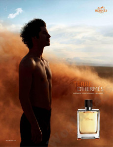 Hermes Terre D'Hermes EDT 100ml за Мъже БЕЗ ОПАКОВКА - Img 2