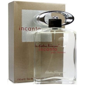 Salvatore Ferragamo Incanto Homme EDT 100ml за Мъже