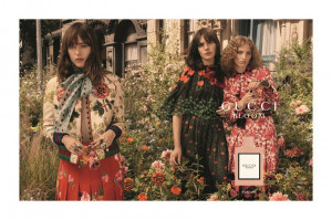 Gucci Bloom EDP 30ml за Жени - Img 2