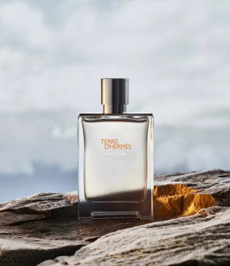 Hermes Terre D'Hermes Eau Givree EDP 50ml за Мъже - Img 2