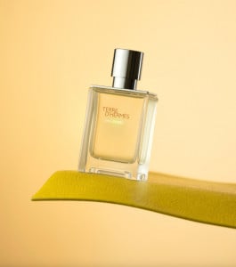 Hermes Terre D'Hermes Eau Givree EDP 50ml за Мъже - Img 3