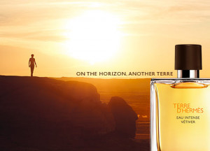 Hermes Terre D'Hermes Eau Intense Vetiver EDP 100ml за Мъже - Img 2