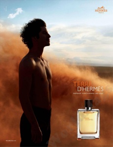 Hermes Terre D'Hermes EDT 30ml за Мъже - Img 2