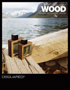 Dsquared2 He Wood Rocky Mountain EDT 30ml за Мъже - Img 2