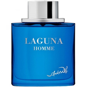 Salvador Dali Laguna Homme EDT 100ml за Мъже БЕЗ ОПАКОВКА