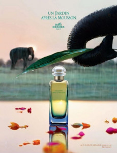 Hermes Un Jardin Apres La Mousson EDT 100ml за Мъже и Жени БЕЗ ОПАКОВКА - Img 2