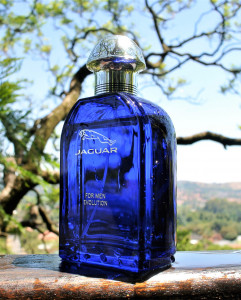 Jaguar For Men Evolution EDT 100ml за Мъже БЕЗ ОПАКОВКА - Img 2