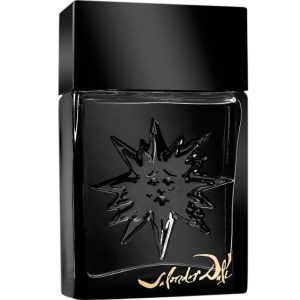 Salvador Dali Black Sun EDT 100ml за Мъже БЕЗ ОПАКОВКА