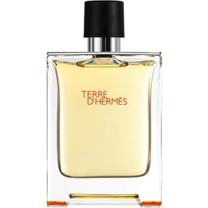 Hermes Terre D'Hermes EDT 100ml за Мъже БЕЗ ОПАКОВКА - Img 1