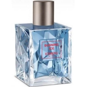 Iceberg Burning Ice EDT 100ml за Мъже БЕЗ ОПАКОВКА