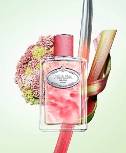 Prada Infusion de Rhubarbe EDP 100ml за Мъже и Жени БЕЗ ОПАКОВКА - Img 2