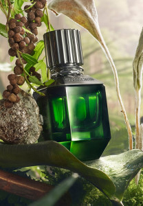 Roberto Cavalli Paradise Found EDT 75ml за Мъже - Img 3