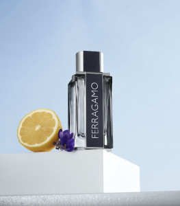 Salvatore Ferragamo Ferragamo EDT 30ml за Мъже - Img 2