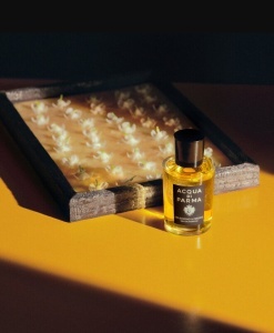 Acqua di Parma Gelsomino A Freddo Eau de Parfum 100ml за Мъже и Жени БЕЗ ОПАКОВКА - Img 2